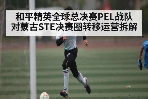 和平精英全球总决赛PEL战队对蒙古STE决赛圈转移运营拆解